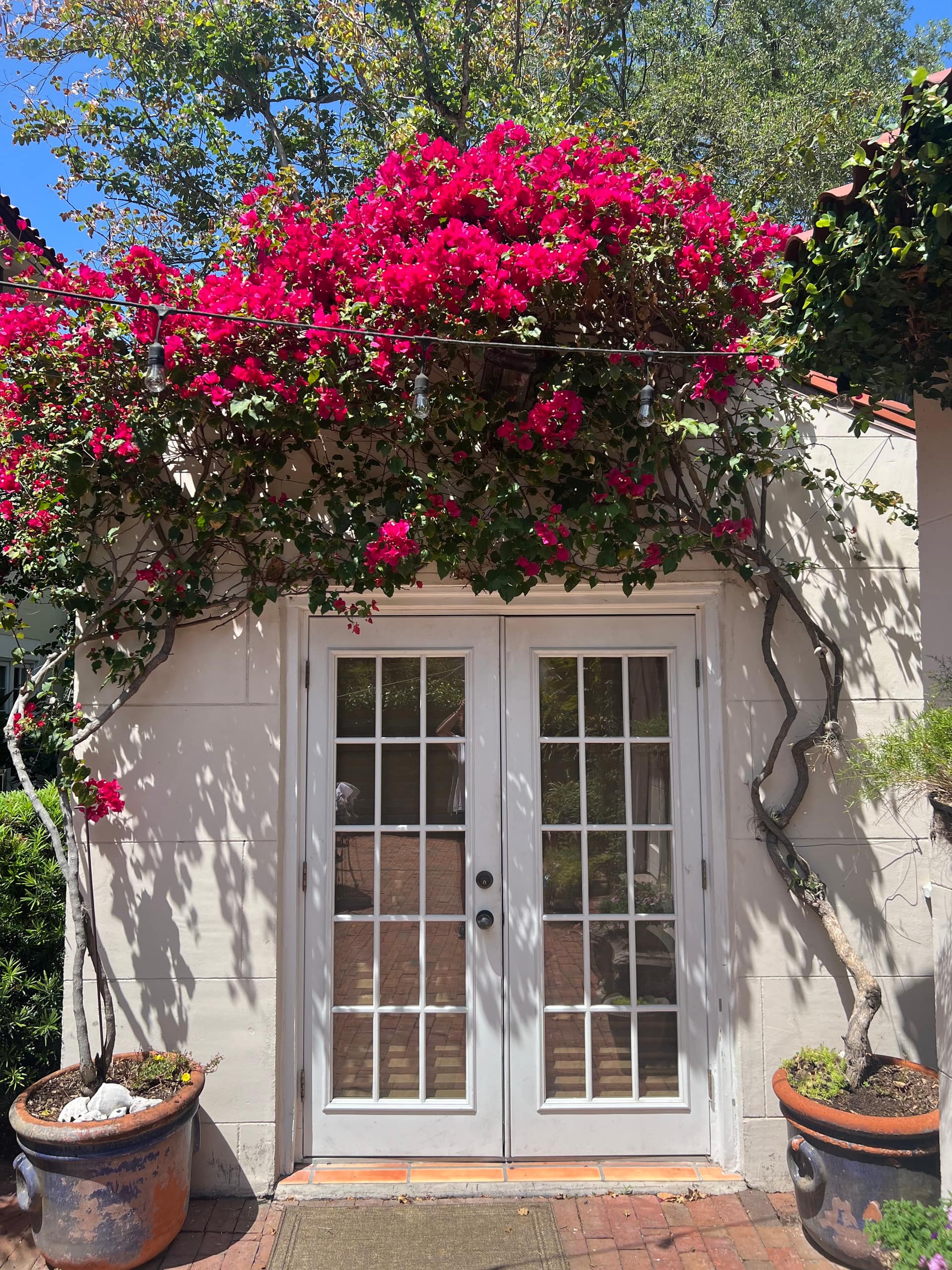 Charming private guest house.