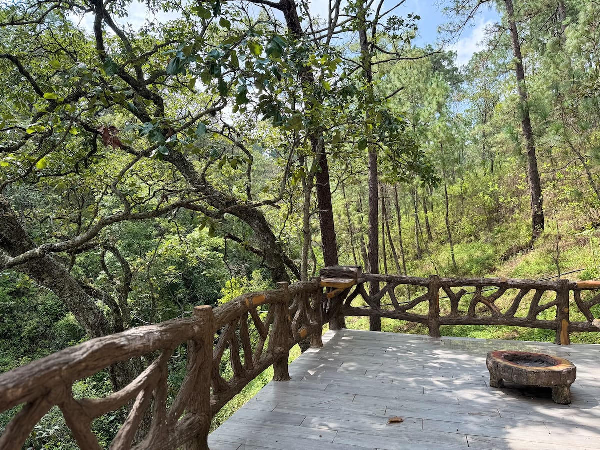 Vallarta's Suite · Starlink · Jacuzzi · Forest View 5