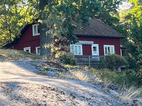 Hemviken