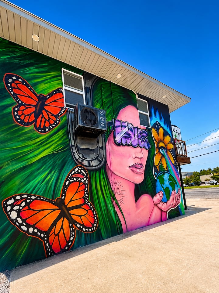 Artsy Baton Rouge Studio Apartment - Baton Rouge, LA