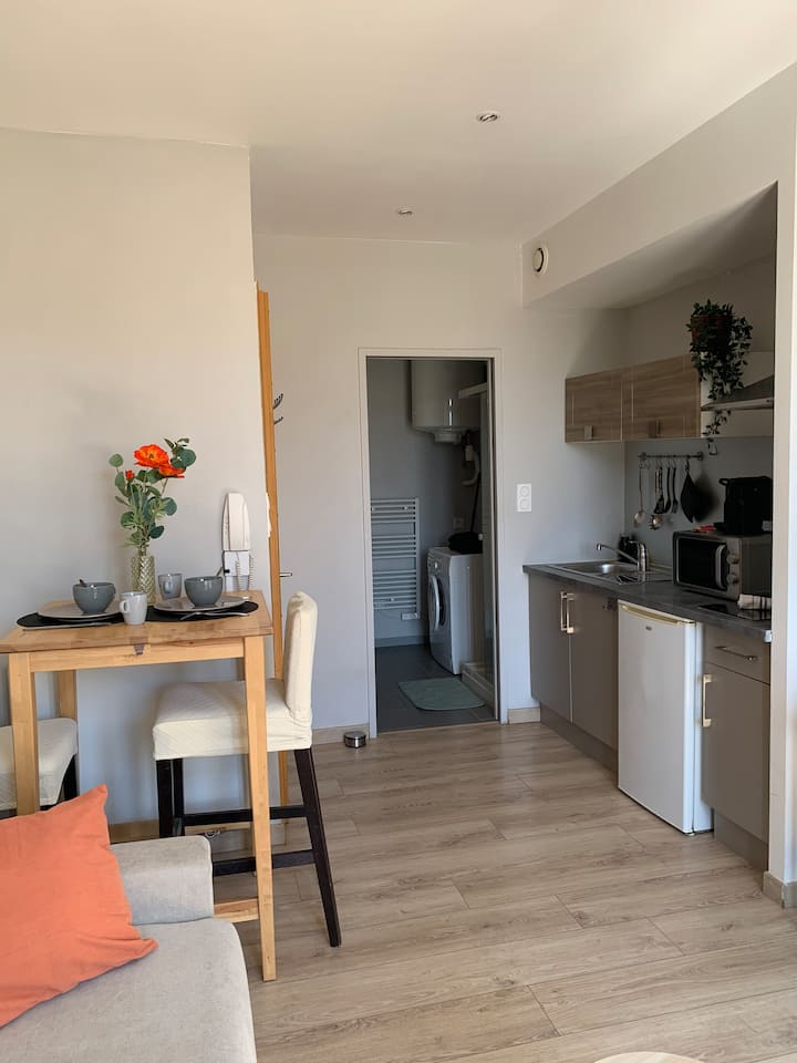 Studio Cosy Proche Lyon - Villeurbanne
