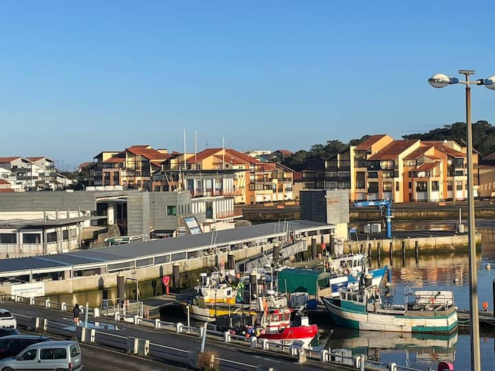 Capsea - Vue Sur Le Port - Capbreton
