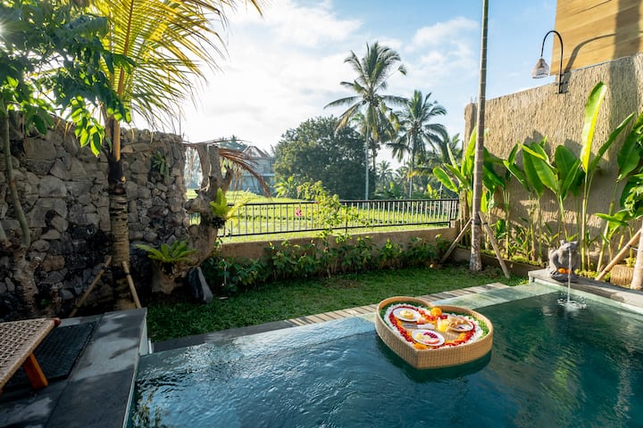 Brand New Pool Villa With Ricefield View In Sebatu - Indonesia