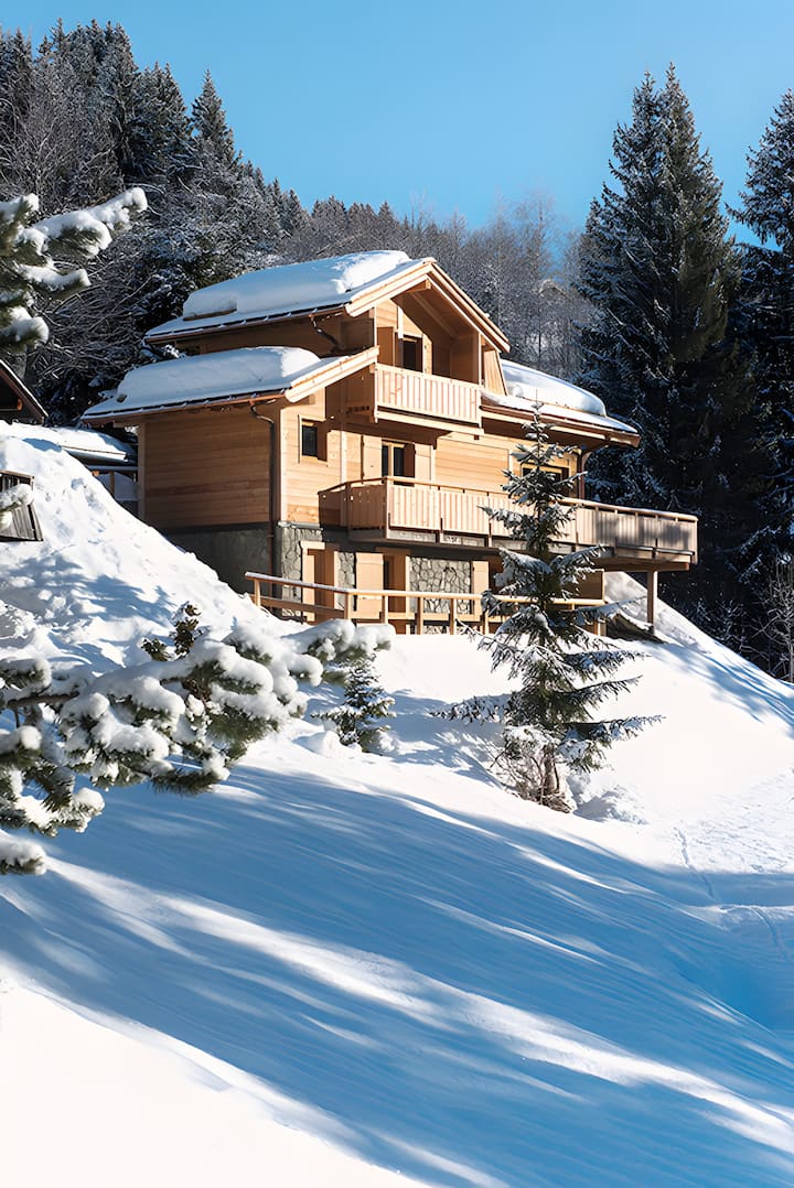 Chalet Fnire - Manigod