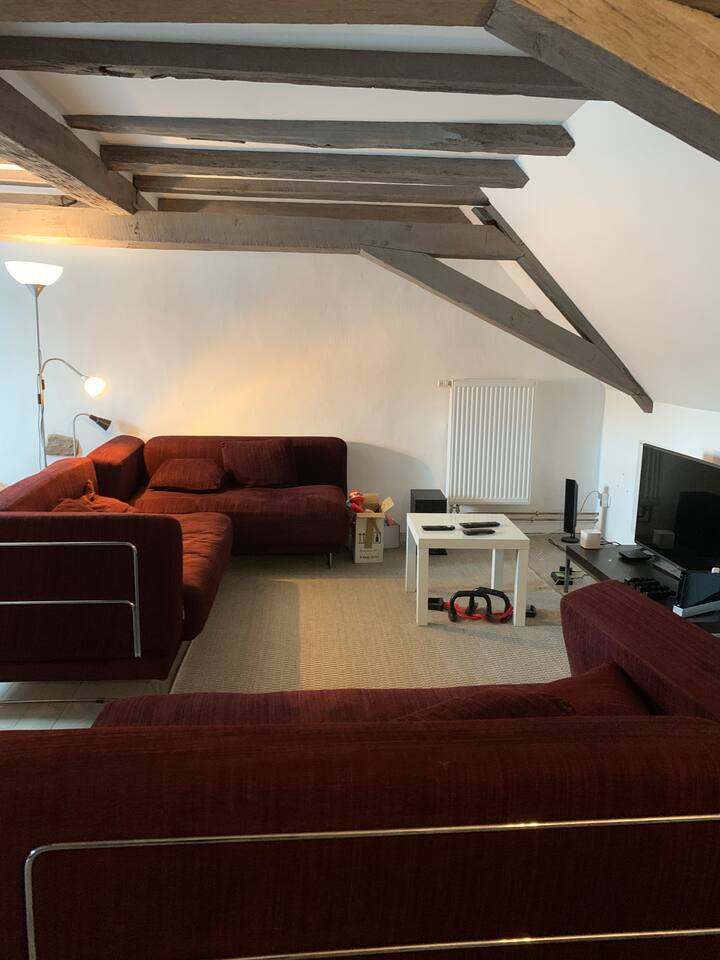 Maison De Charme Sur Les Remparts - La Petite-Pierre