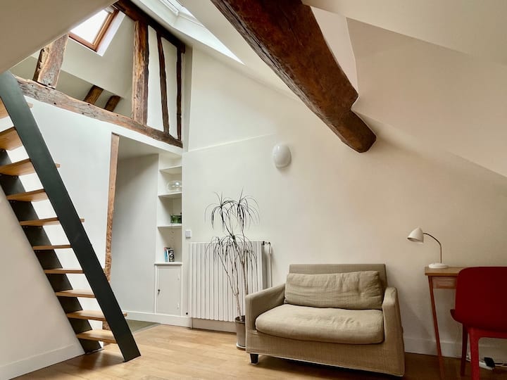 Appartement Avec Mezzanine Par Meyagency - フランス パリ
