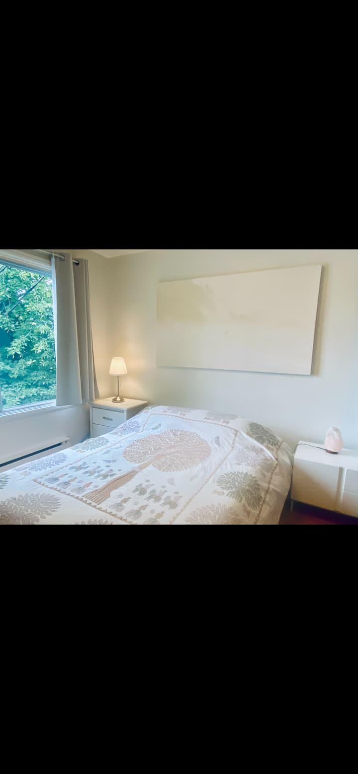 Charming, Bright 3½ Apartment  Rosemont - Laval