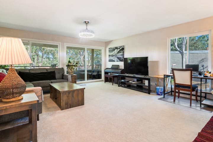 P2~large Hoa~close 2 Spectrum Center/beach~monthly - Aliso Viejo, CA