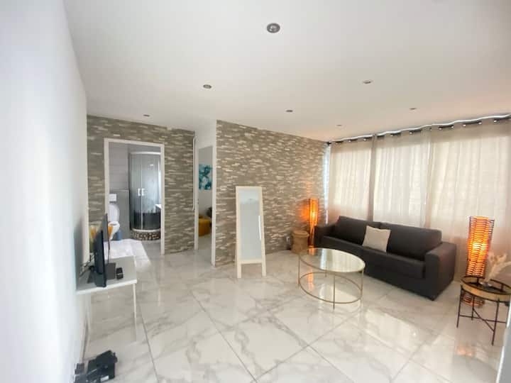 M011 L T2 L 4 Personnes L Centre-ville - Annemasse