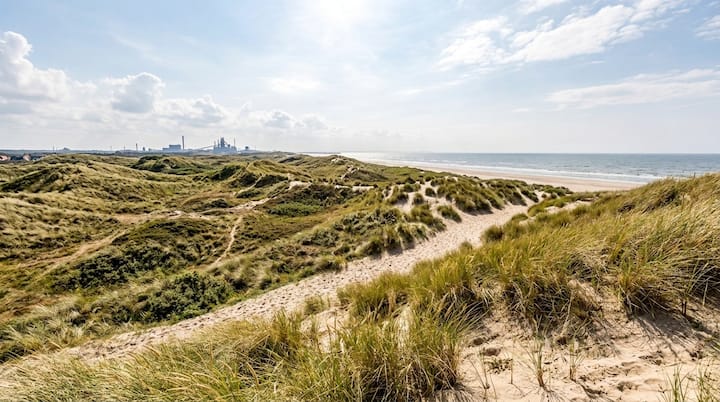 2p Semi Detached - Fenced Shared Garden - Beach - Wijk aan Zee
