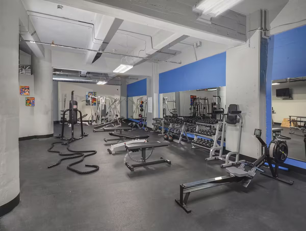 Apex Studio