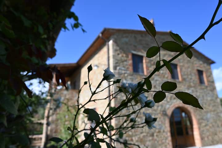 Private Tuscan Vineyard Villa In Chianti Aretino - Toscane