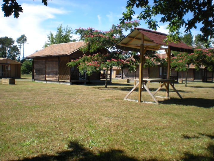 Chalet N°13 - Saint-Julien-en-Born