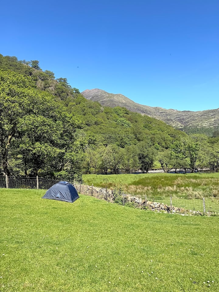 Bring Your Own Tent - Glanrafon Pitch - Blaenau Ffestiniog