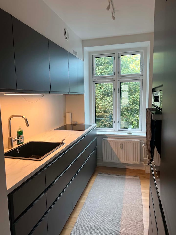 Herskabelig Lejlighed Med Central Beliggenhed - Copenhagen