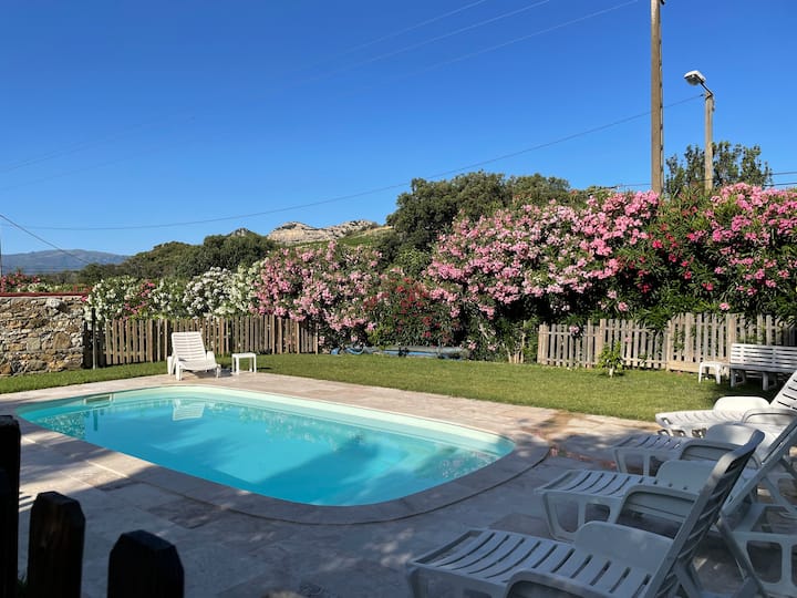Studio Au Cœur Du Vignoble - Saint-Florent