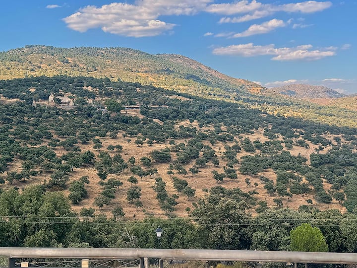 Vistas al campo de olivos y a la sierra desde la terraza de la casa.