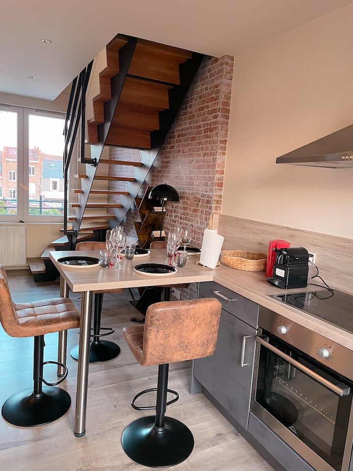 Elégant Duplex, T3, Canon D'or,  Proche De Lille. - Lille
