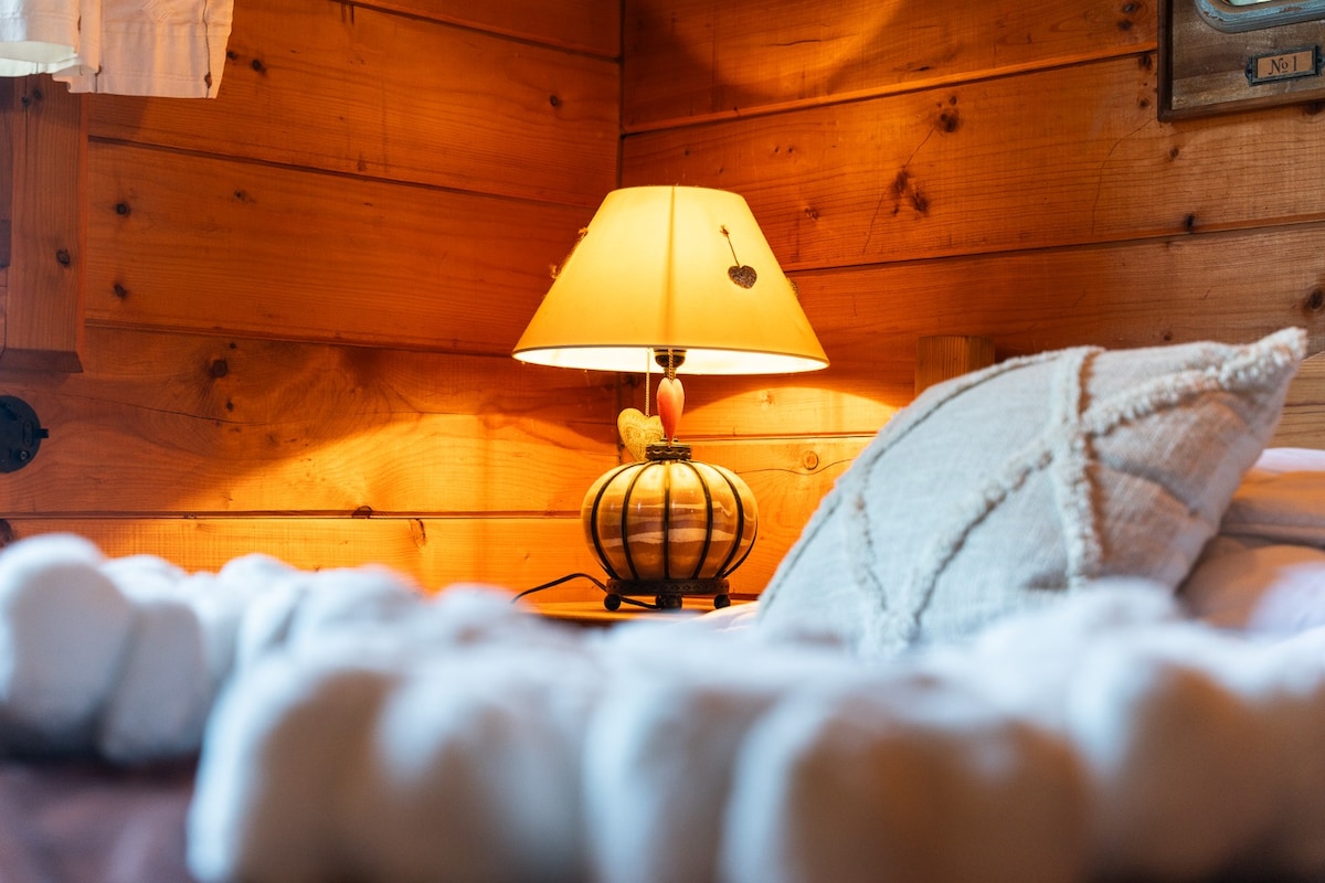 Chalet 14 personnes aux 2 Alpes, skis aux pieds et terrasse plein sud — photo 8