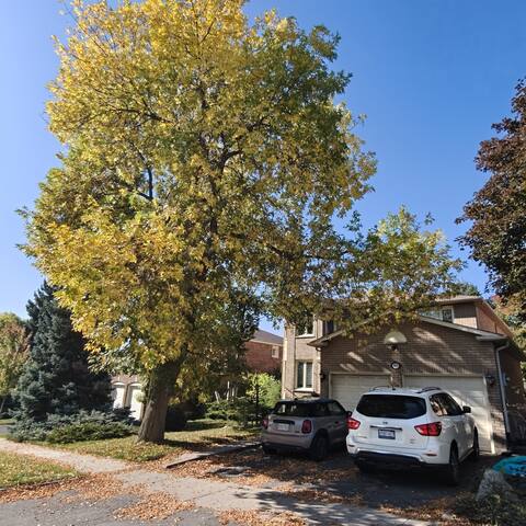 Guest favorite listing in Mississauga