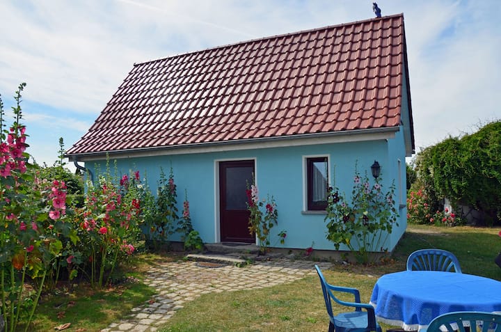 Sternengucker - Wiek