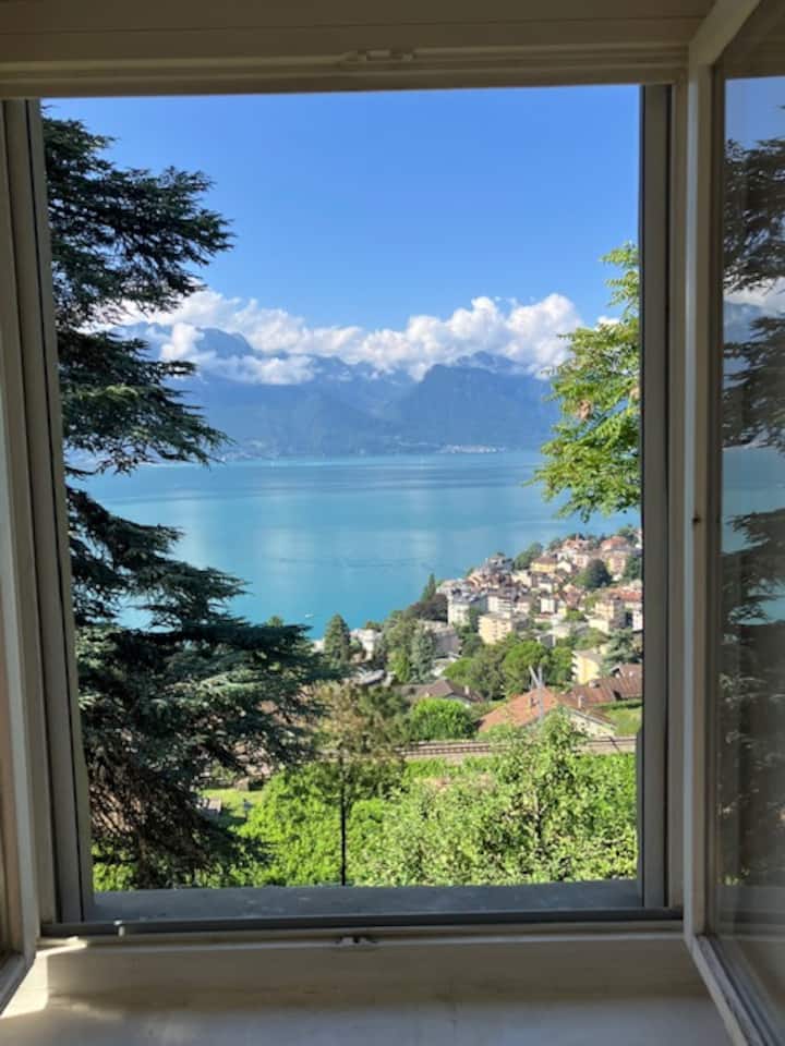 Charmantes Studio In Belle Epoche Villa - Montreux