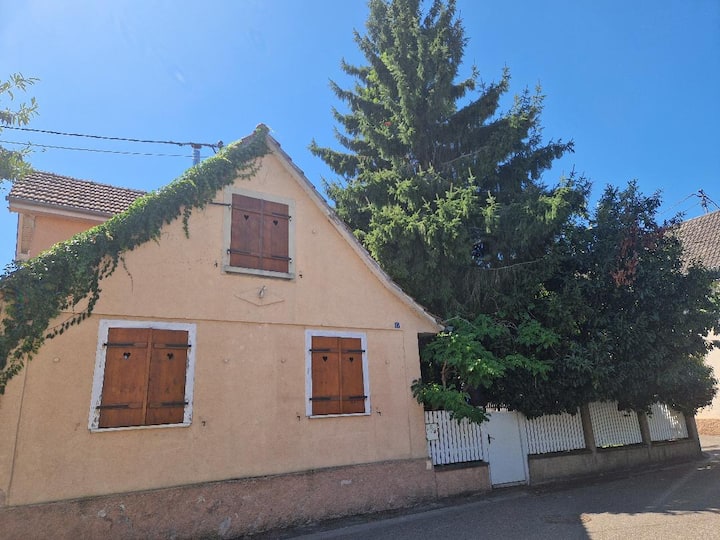 Jolie Maison Dans Un Quartier Calme Avec Jardin - Strasbourg