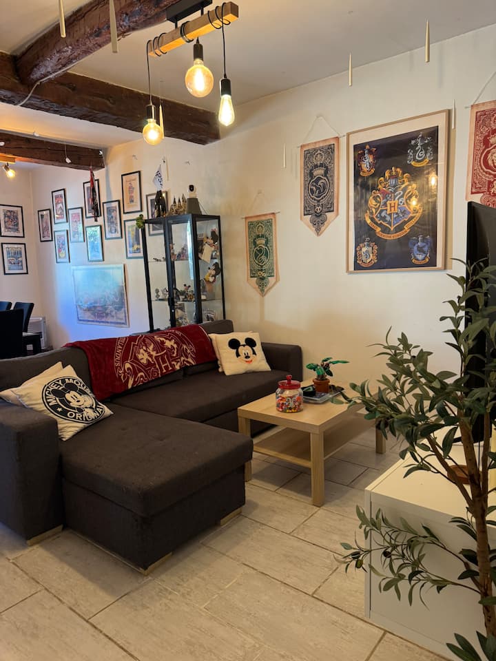 Appartement T2 Au Décor Fantastique - Saint-Zacharie