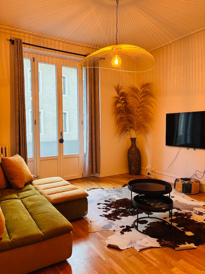 Appartement De Charme Rénové Au Cœur De Chambéry - Chambéry