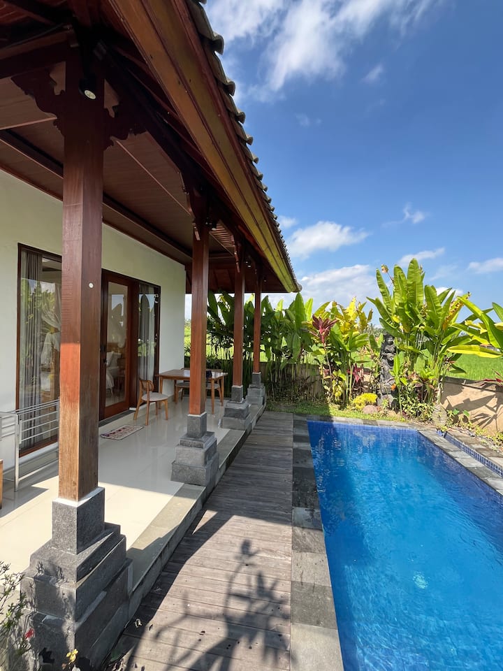 Uma Santhi Ricefield View In Ubud - Avustralya
