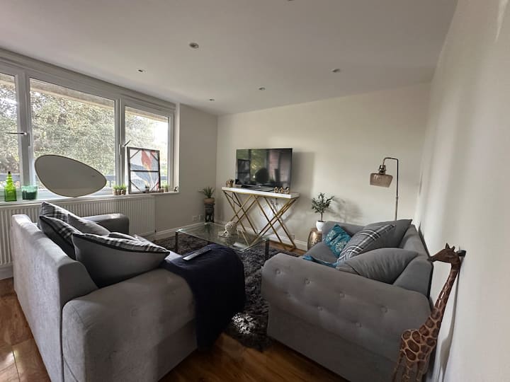 Comfy Accommodation In South West London - Surbiton
