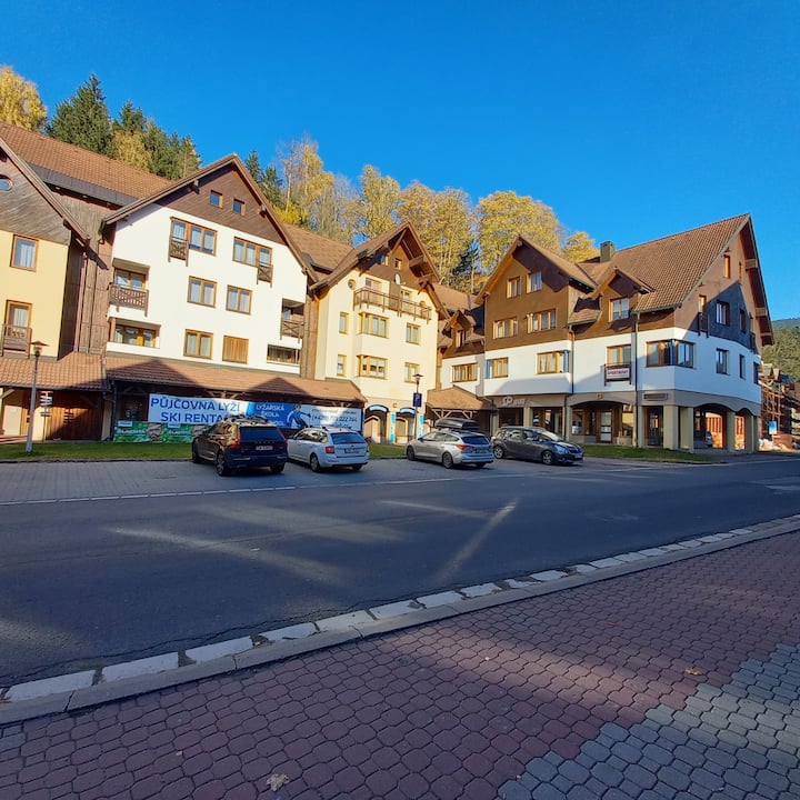 Apartmán Sven - Rokytnice nad Jizerou