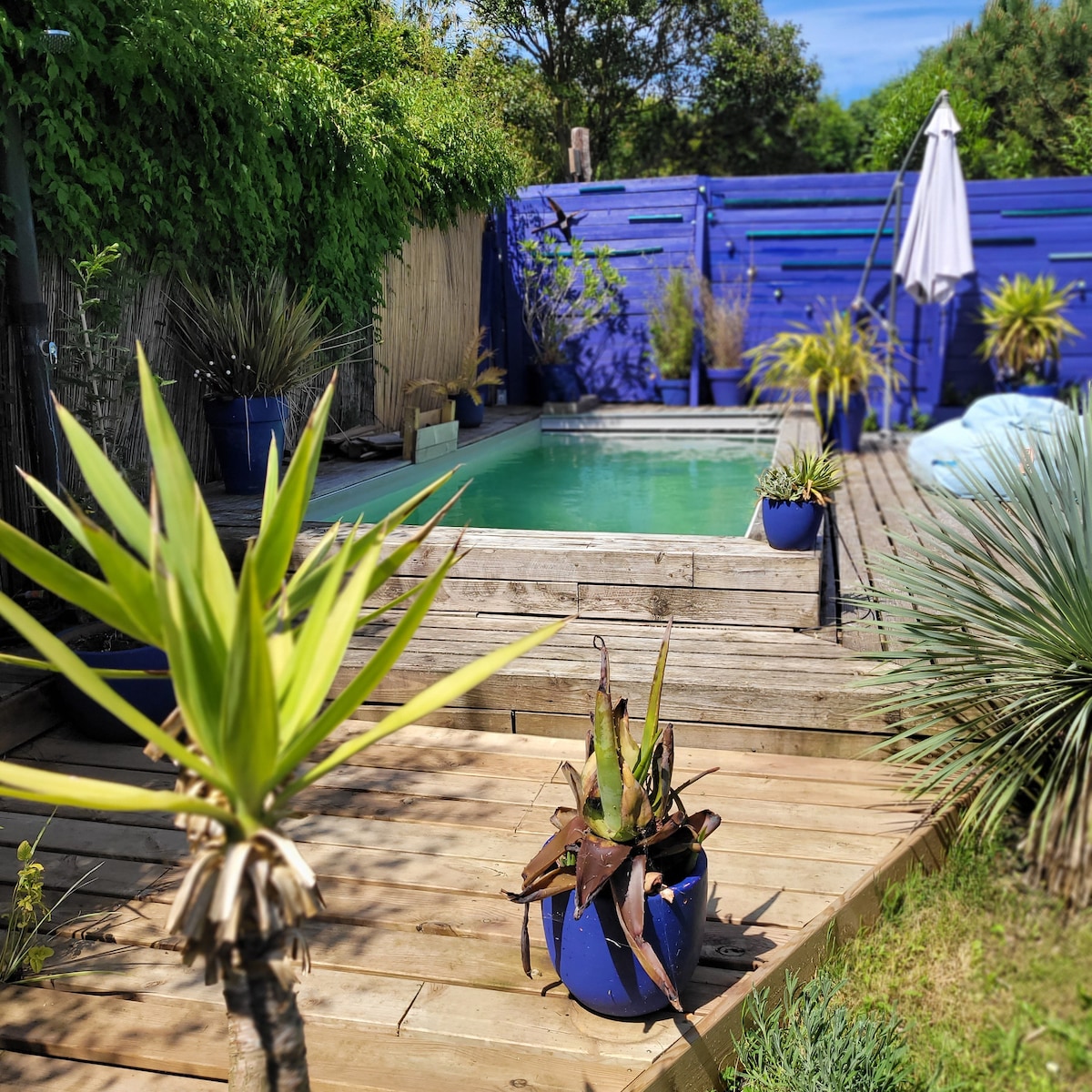 A tranquil pool area is surrounded by a wooden deck and lush greenery. Potted plants in vibrant blue containers are positioned near the edge of the pool. A white umbrella stands to one side, adding to the serene outdoor space.