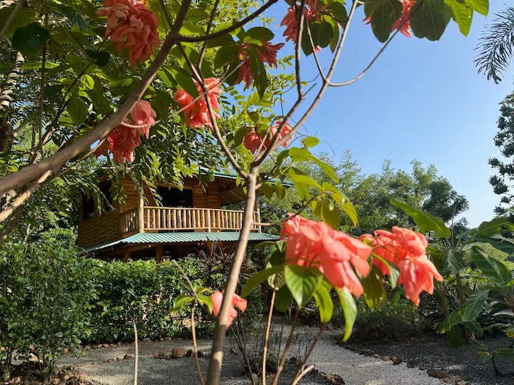 Tropical Lodge The Hidden Hideaway-casa Arbolada - Costa Rica