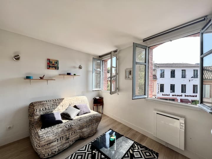 Appartement Derrière La Cathédrale St-sernin - Toulouse