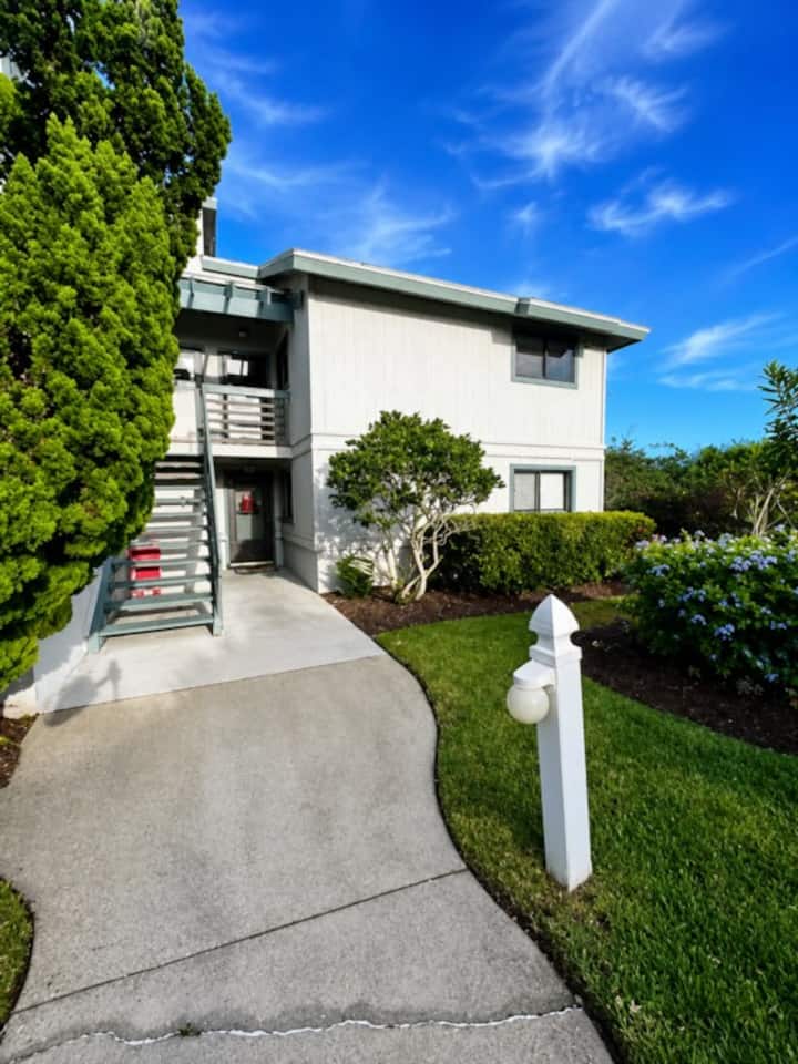 Cozy Sea Woods Retreat Walk To No-drive Beach - New Smyrna Beach, FL
