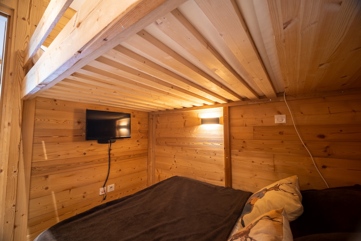 Charme Alpin — grand logement 8 personnes aux 2 Alpes, skis aux pieds — photo 8