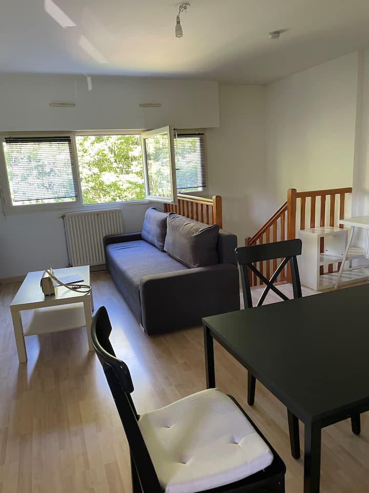 T2 Bis Duplex Parking Rennes Cleunay - Rennes