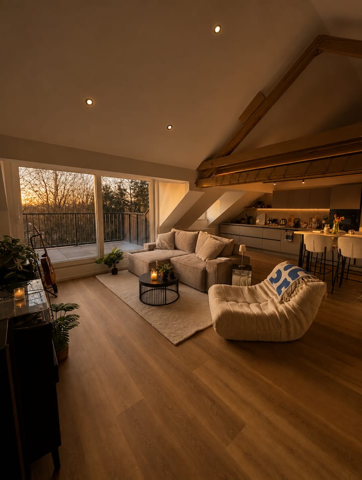 Penthouse Wohnung Aschaffenburg Innenstadt - Aschaffenburg