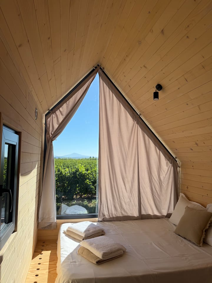 Tiny House - Vignes, Mont Ventoux & Piscine - Pont-Saint-Esprit