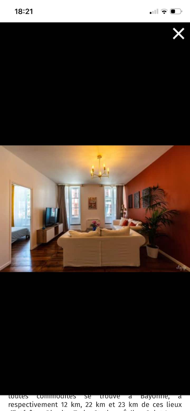 Bel Appartement à Deux Pas Du Centre Ville - Bayonne