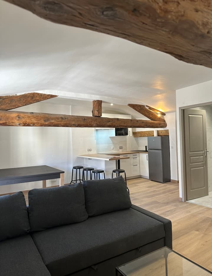 Pied-à-terre Familial Au Cœur Davignon - Avignone
