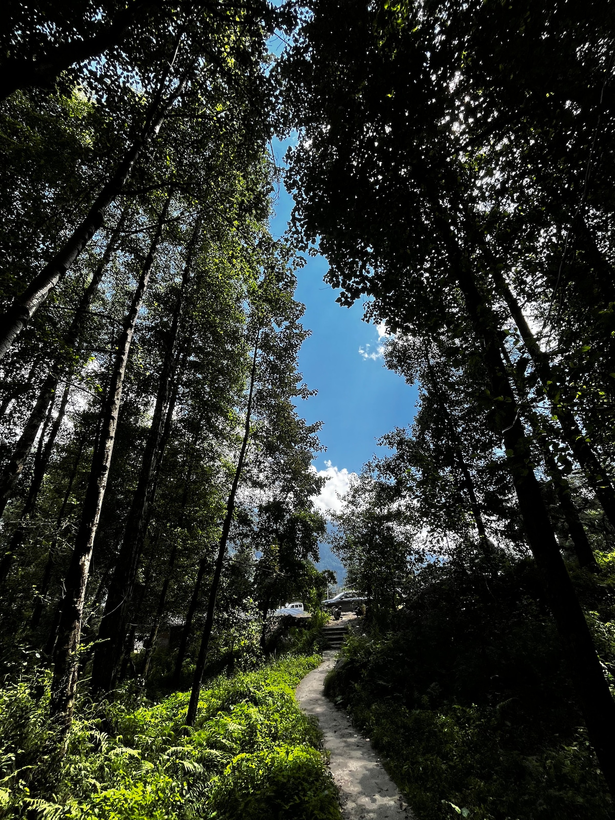 Ravenscroft - Houses for Rent in Manali, Himachal Pradesh, India - Airbnb