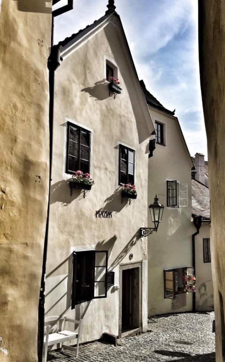 Standard Doppelzimmer In Historischer Altstadt - Český Krumlov