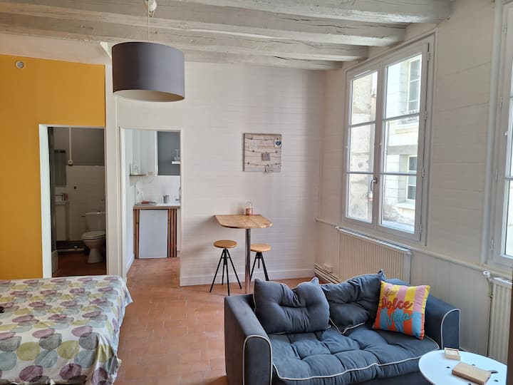 Studio Cœur Historique Saumur - Saumur