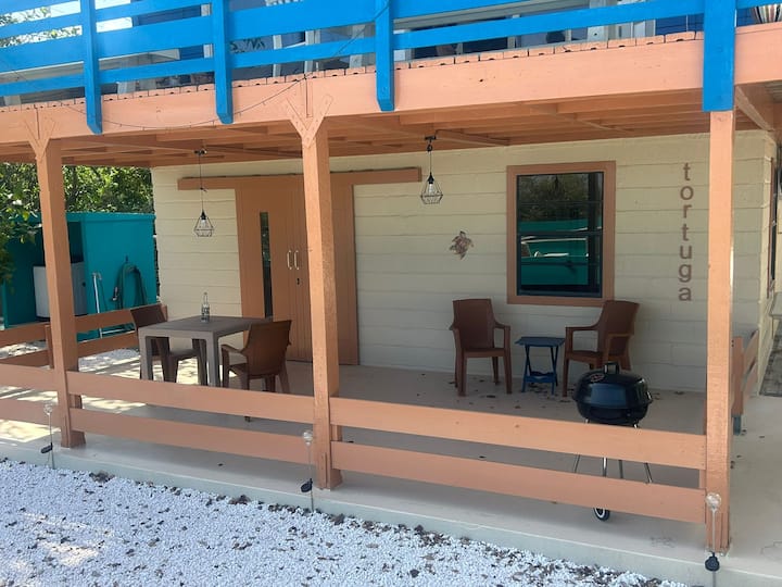 Tortuga - Curaçao