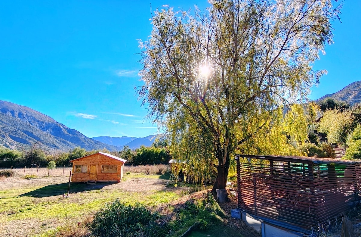2 Cabins + Private Grounds for 11 People, 2 Hot Tubs - Cabins for Rent ...