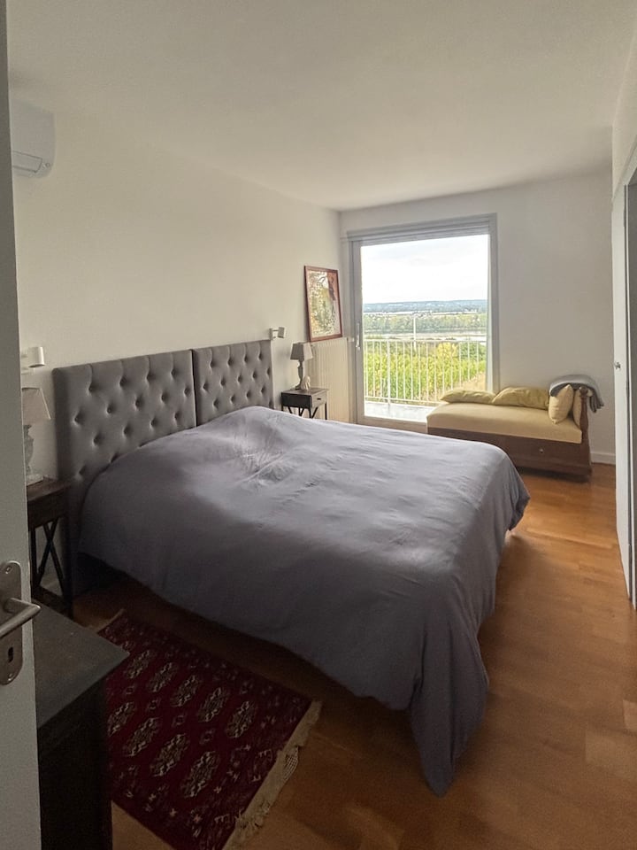 Chambre Climatisée Lit 180 Vue Vigne Et Loire - Saumur