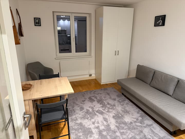 Münchener Freiheit One Room Apartment - Munich