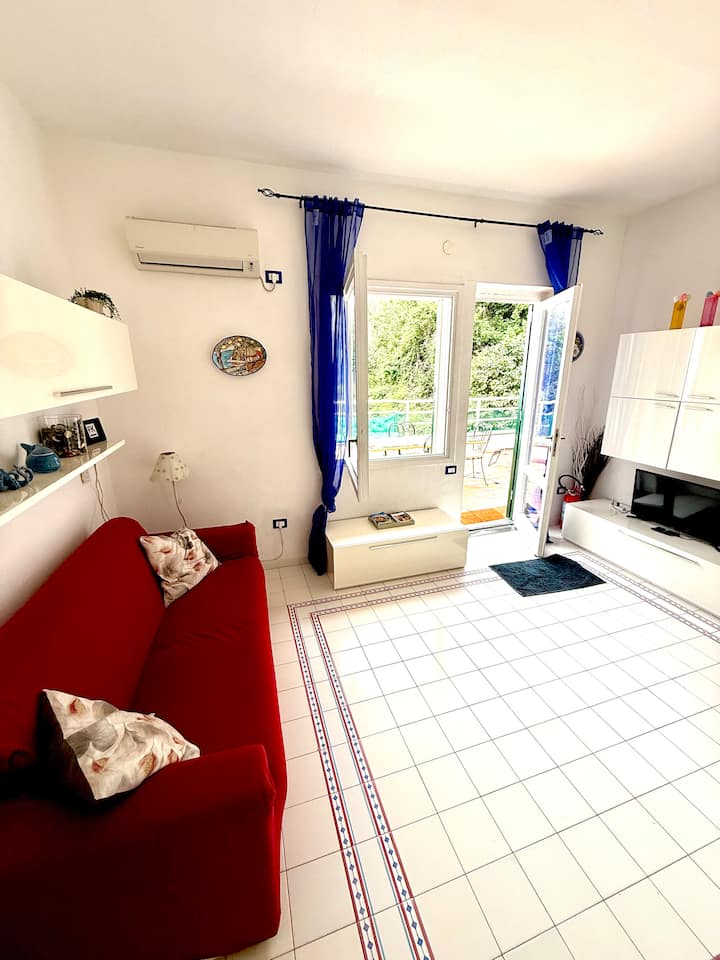 Venus Apartment